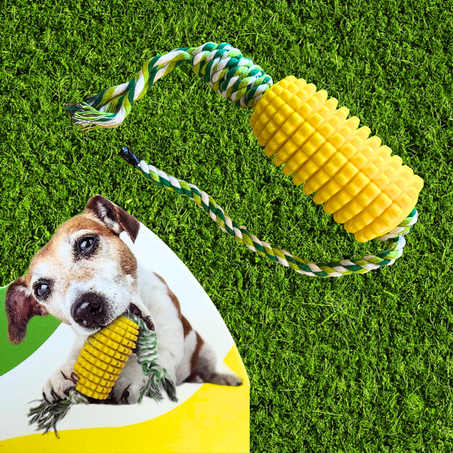 Ohio Corn Dog Rope Toy