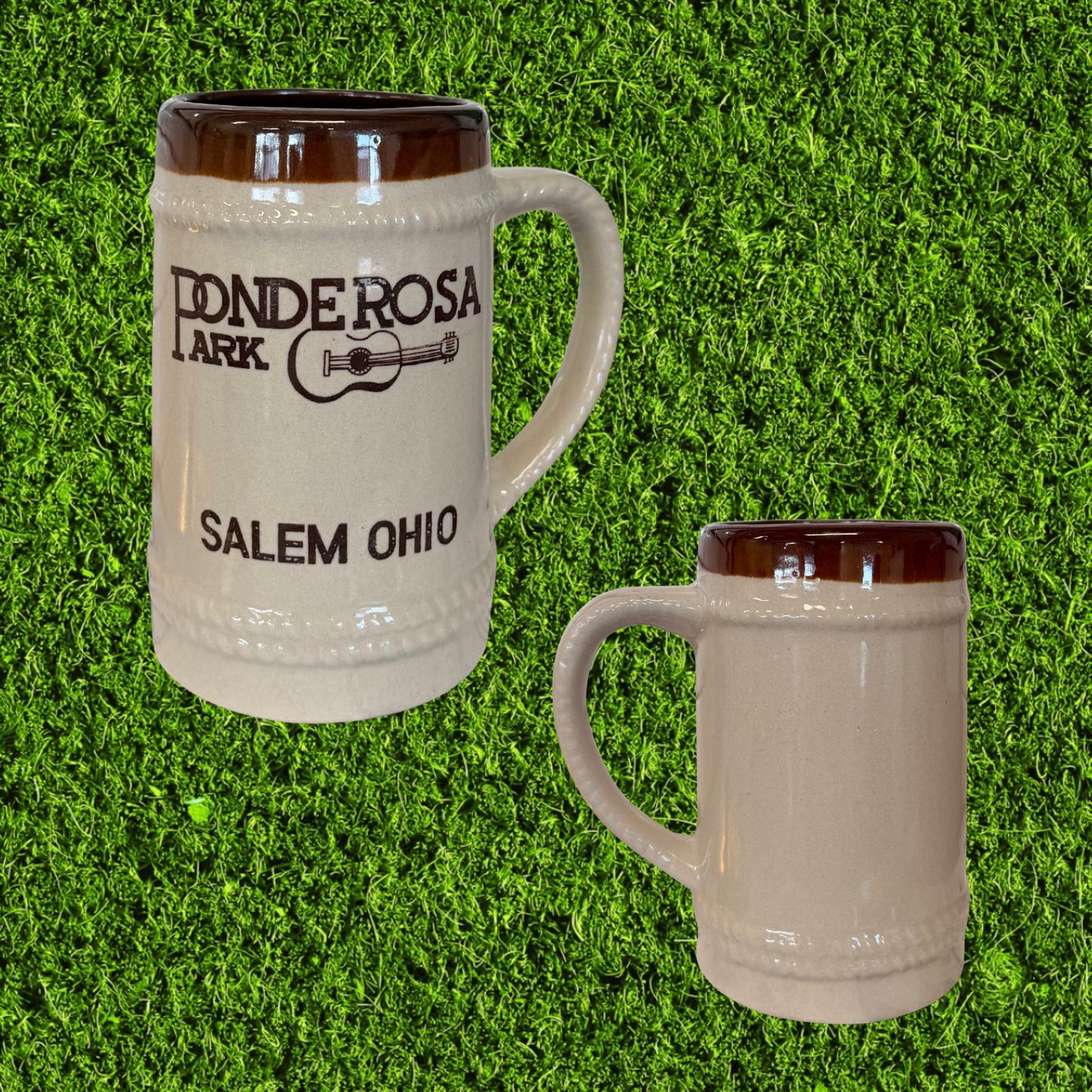 Vintage Ponderosa Park Beer Mug