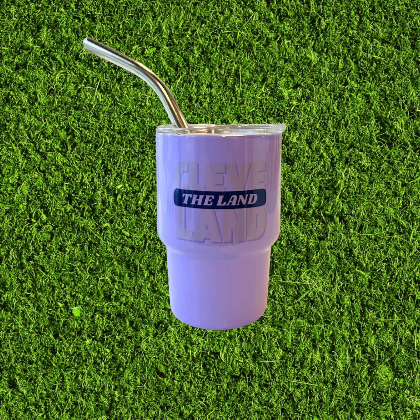 Mini Stainless Steel Tumbler Shot Glasses