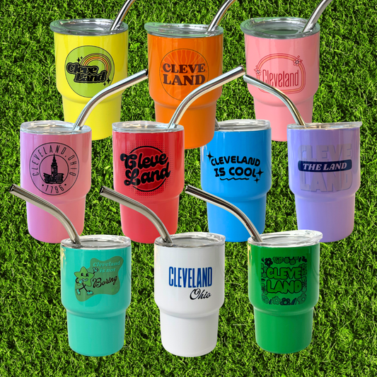 Mini Stainless Steel Tumbler Shot Glasses