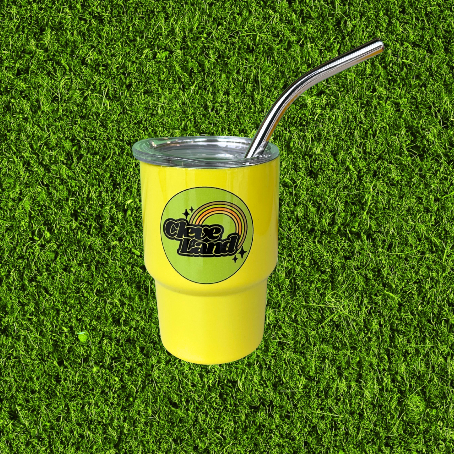 Mini Stainless Steel Tumbler Shot Glasses