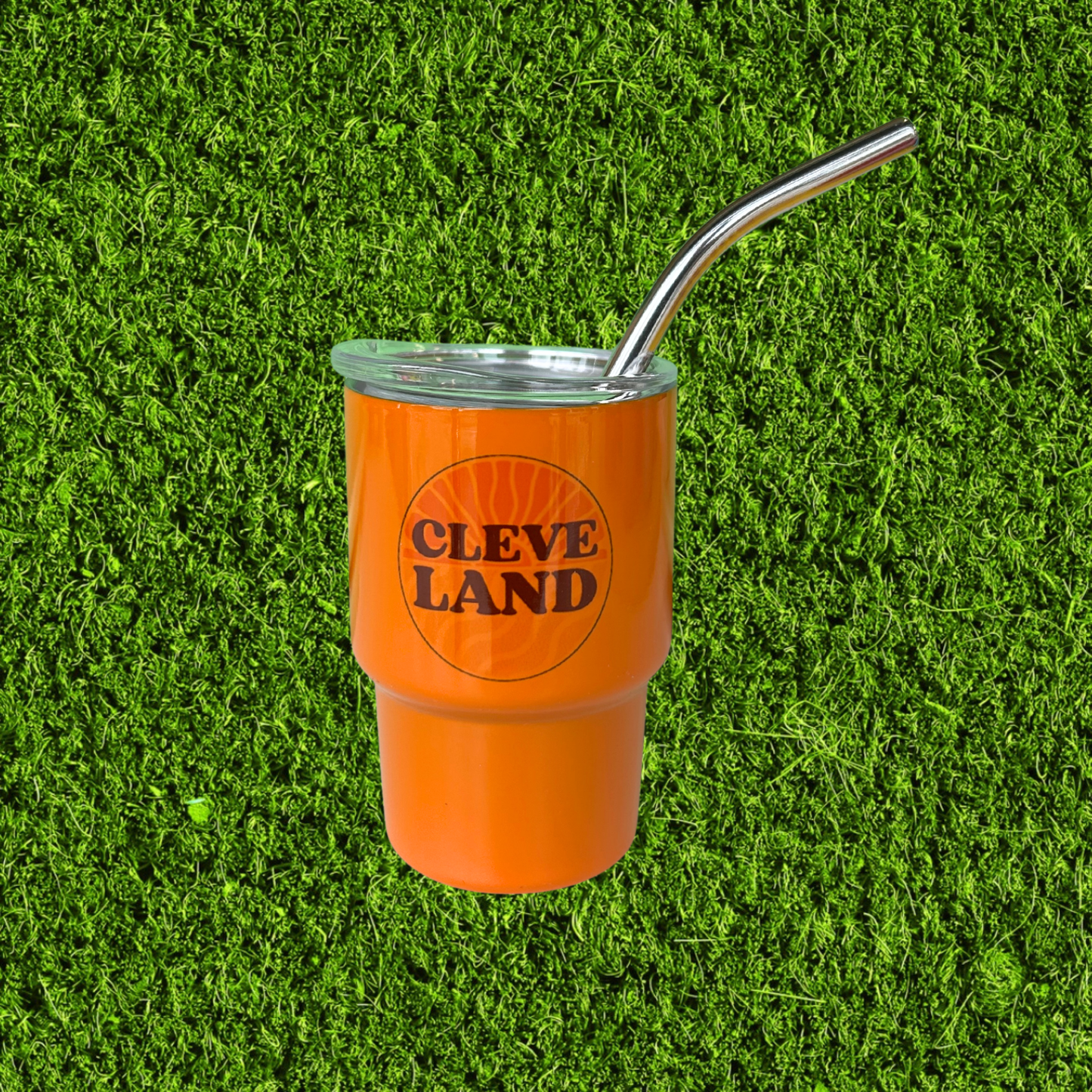 Mini Stainless Steel Tumbler Shot Glasses