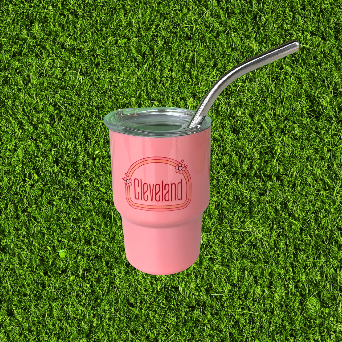 Mini Stainless Steel Tumbler Shot Glasses