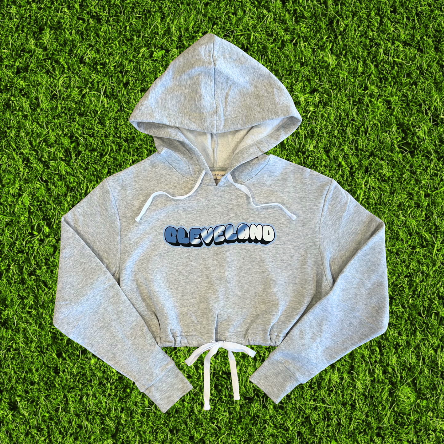 Women's Shiny Cleveland Light Grey Cropped Hoodie