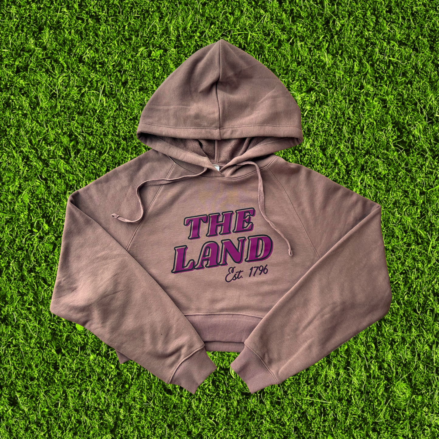 Women's Maroon Cleveland Brown Cropped Hoodie