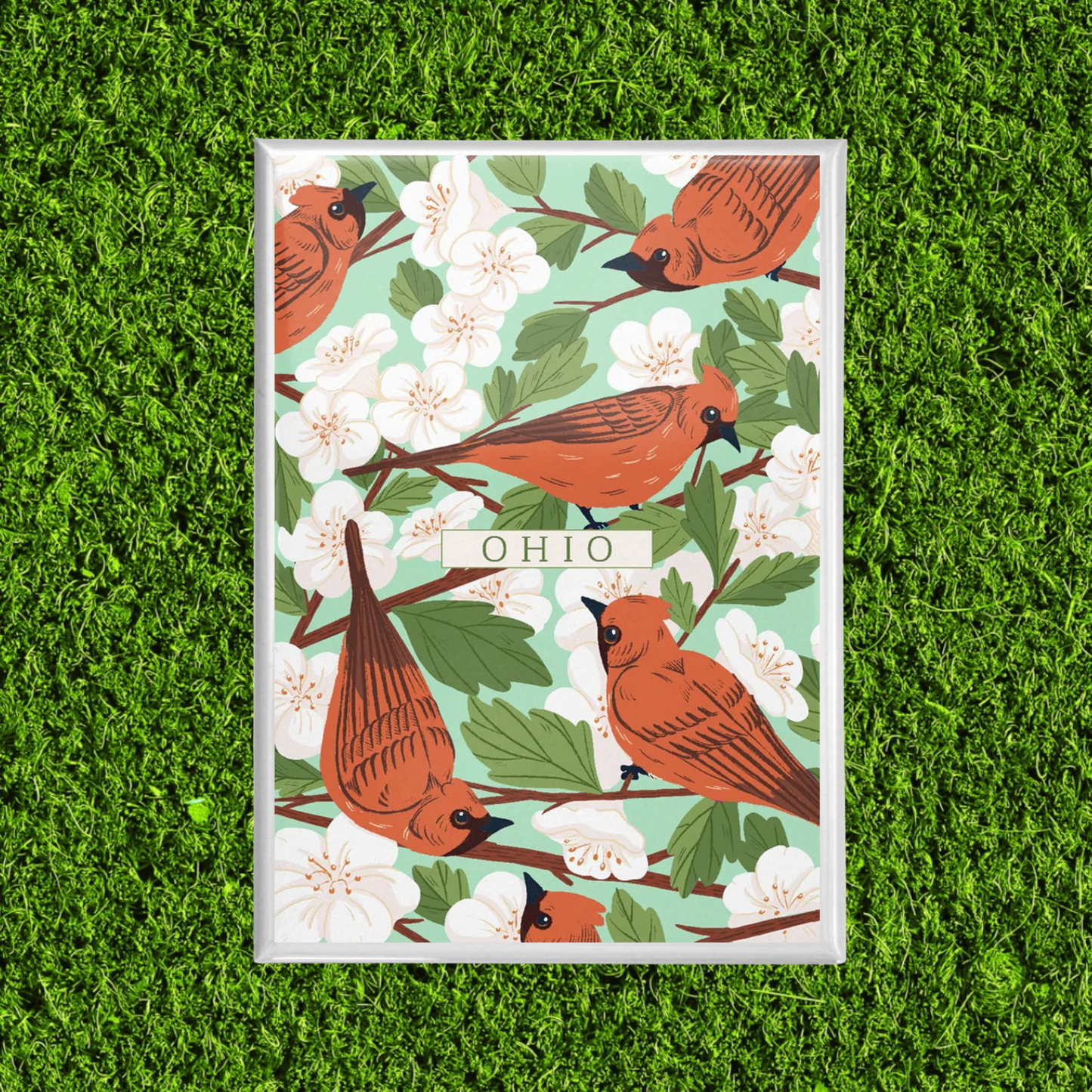 Ohio State Bird Cardinal Magnet
