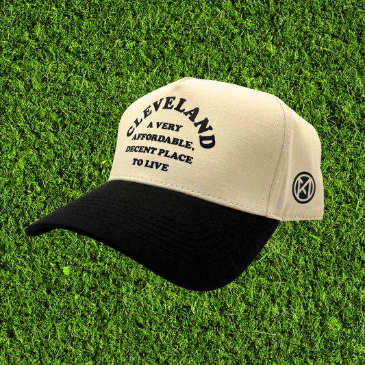 Affordable and Decent Black Beige Hat