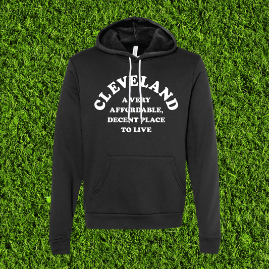Affordable and Decent Black Zip-Up Hoodie