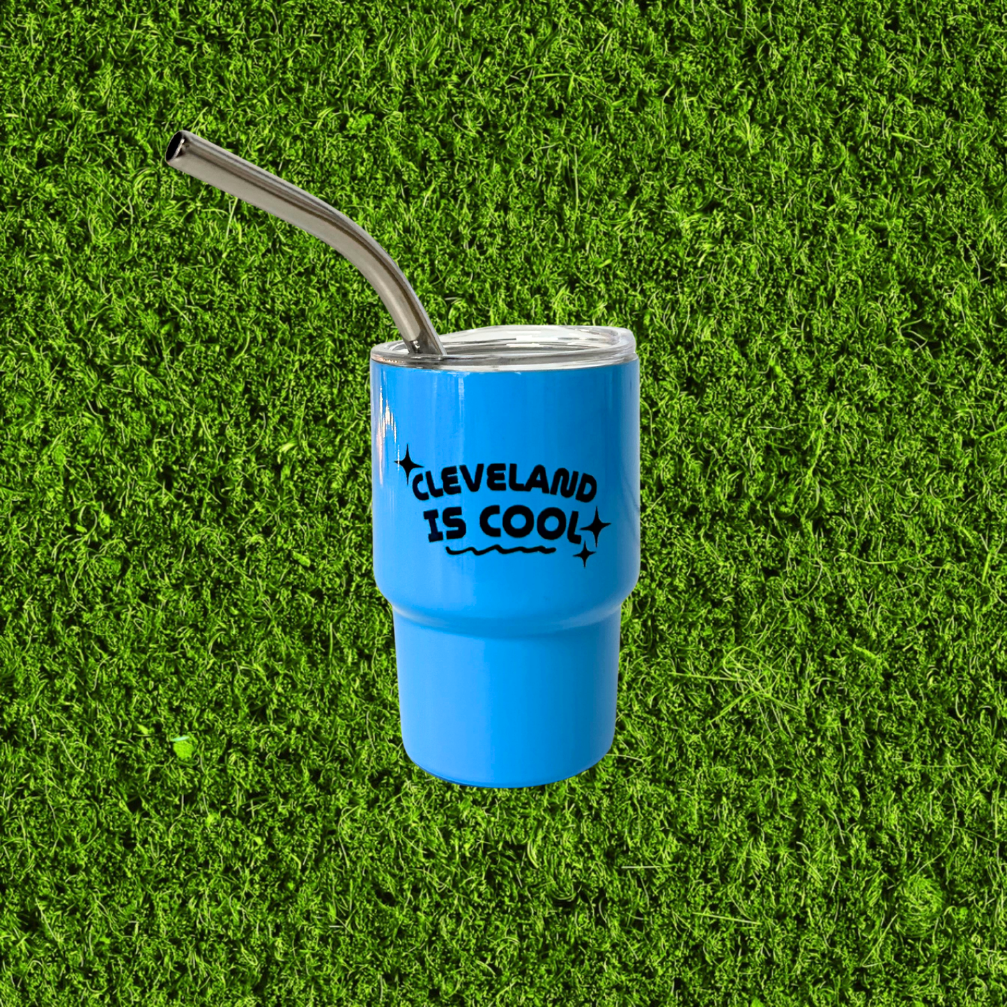 Mini Stainless Steel Tumbler Shot Glasses