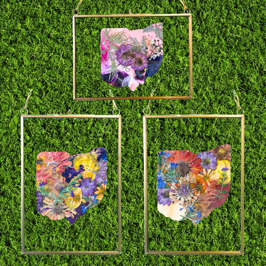 Pressed Flower Ohio Cutout Frame