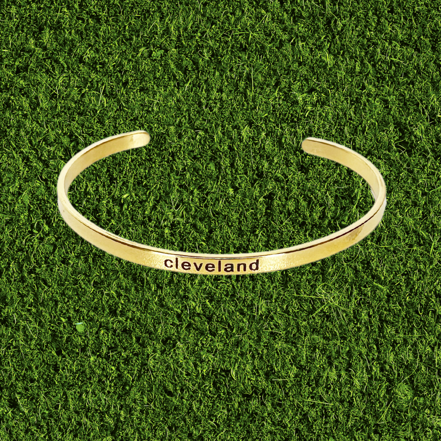 Stainless Steel & Enamel Cleveland Bangle