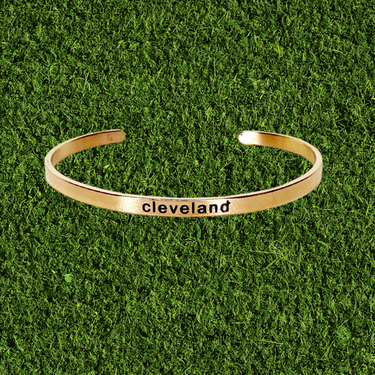 Stainless Steel & Enamel Cleveland Bangle