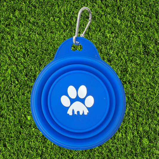 Collapsible Dog Bowl