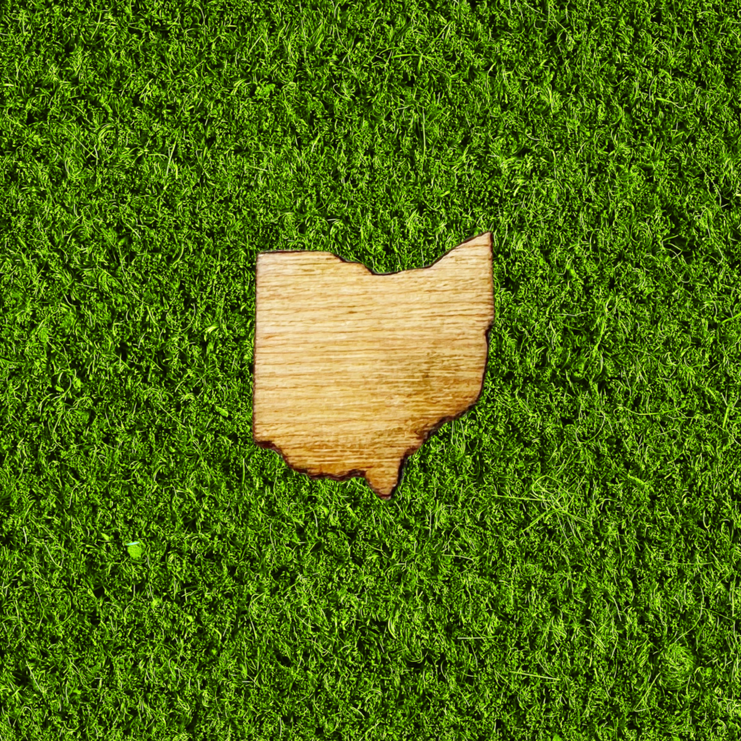 Ohio Mini Magnets