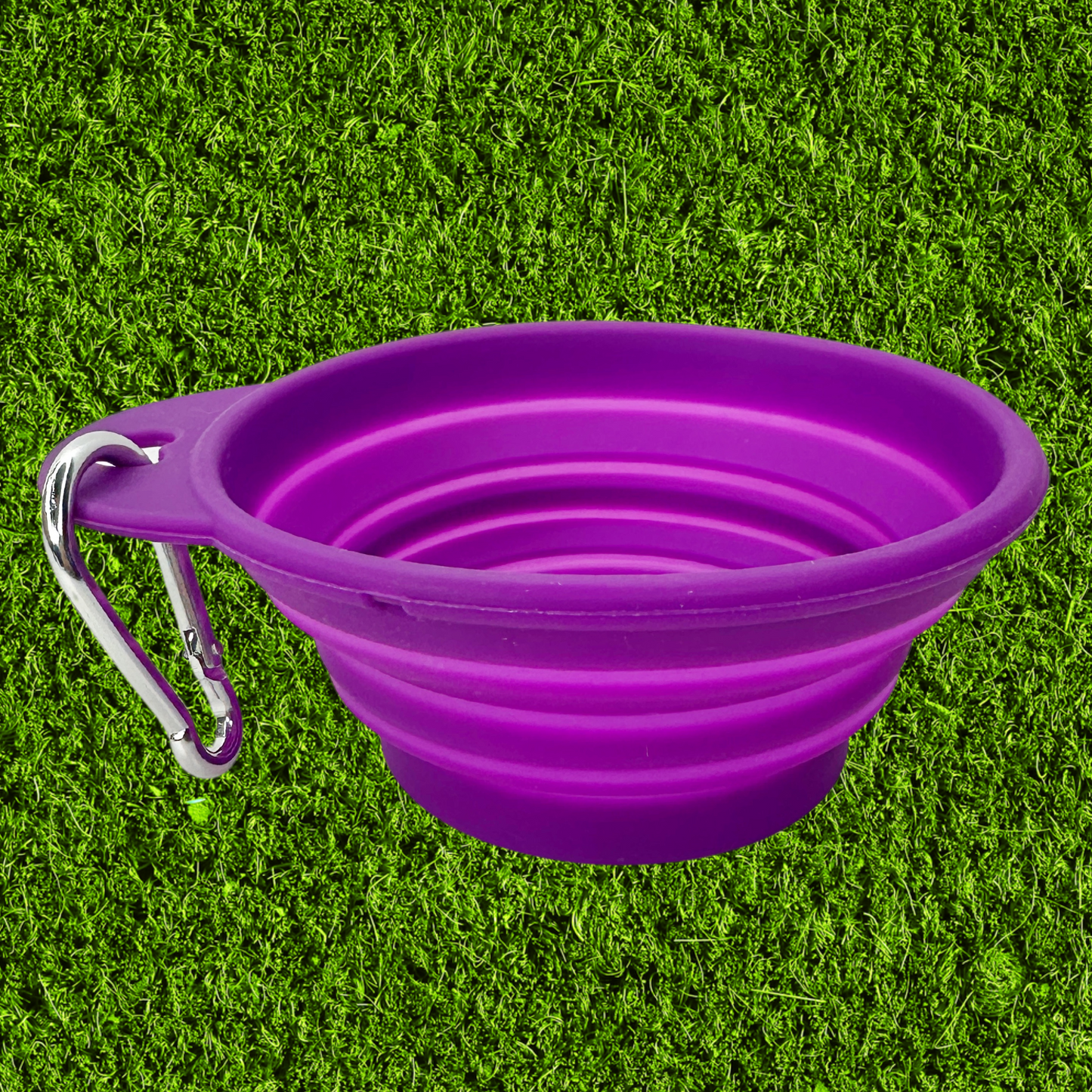 Collapsible Dog Bowl